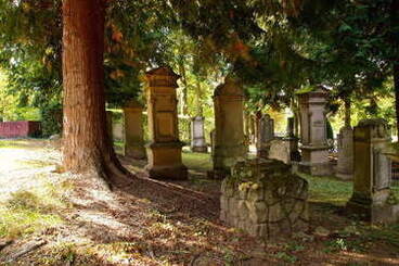 Widok na stare nagrobki ukryte wśr&oacute;d drzew